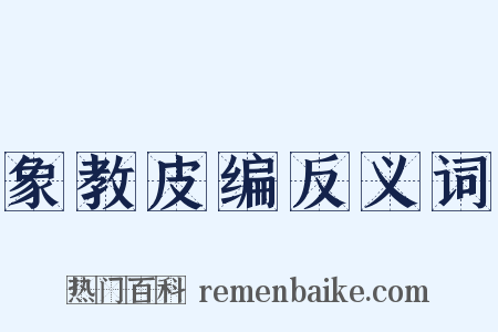 象教皮编反义词是什么意思的图片